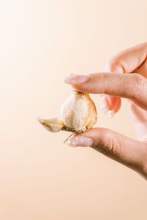 チューリップの球根は外皮が取れたものが入っております。外皮が無い球根でも十分に生育しますが、球根の部分を大きく傷つけてしまいますと、花つきが悪くなります。