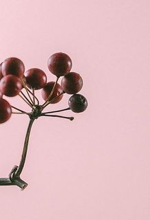 一部、実が黒く変色している場合がございます。気になる方はお取りください。