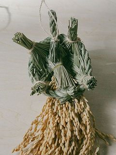 亀の裏側の仕様。