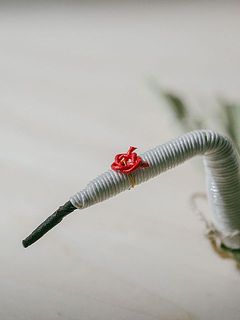 頭には水引のような祝いの結びも。