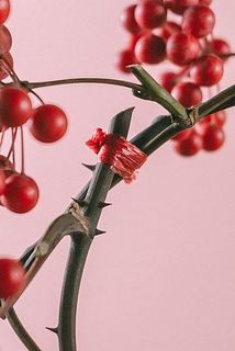 レッドの紐で止めています。