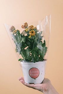 カバーを外した状態