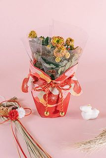 お正月にぴったりな鉢物です。