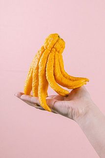 形、大きさには個体差がございます。