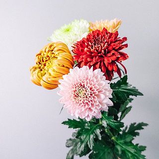 お届け例（ブーケの内容は毎回異なります）