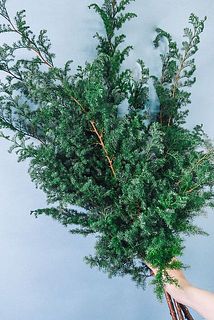 お届けイメージ　※オーナメントなどの飾りは付属しません。