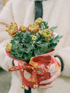 巾着仕立ての特別仕様。