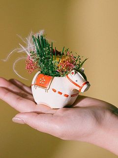 箱から取り出して飾っても🙆‍♂️手乗りサイズなので、玄関やお部屋のインテリアにぴったり。