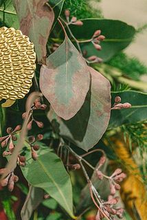 一部、変色している場合がございます。