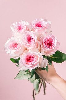 6本お届けします