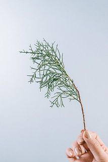 長さ20cmのショートサイズもございます。