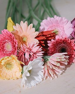 一重咲き、ポンポン咲き、スパイダー咲き、パスタ咲きなど多彩なガーベラをミックスで。15本お届けします。