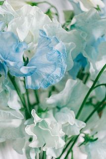 淡いブルーのグラデーションが魅力的🩵