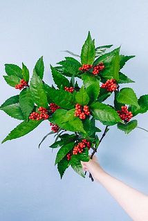 お届けイメージ。