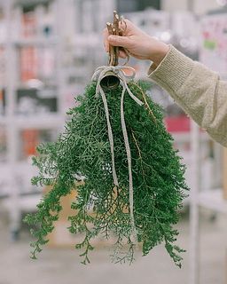 サイズはこんな感じです。