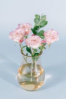 受け皿を外すと切り戻したお花の居場所にぴったり。