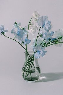 受け皿を外すと切り戻したお花の居場所にぴったり。