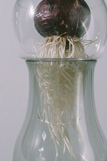 本体は透明感のある色ガラスです