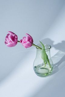 受け皿を外すと切り戻したお花の居場所にぴったり。