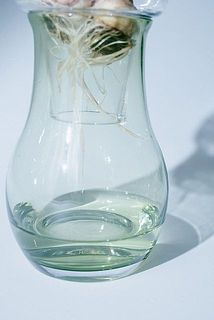 本体は透明感のある色ガラスです