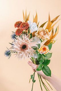 お届けイメージ