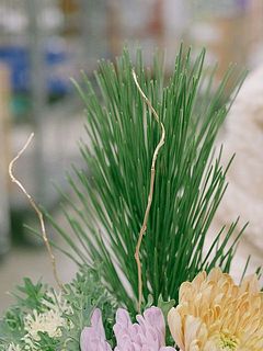 松は「長寿を願う」という意味が込められています。