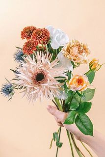 お届けイメージ