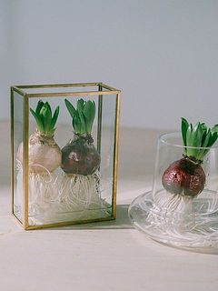 FLOWERでゲットできる花器だと、「絵画のように楽しむ花器」やDuckがおすすめ。