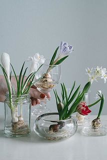 内容は毎回異なります。