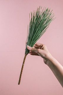 1本のイメージ。