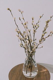 花瓶に生け込んだイメージになります