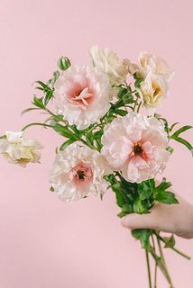 お届けイメージ