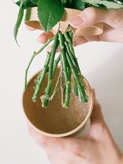 中には保水のゼリーが入っているので、3日ほどはそのまま飾ってお楽しみいただけます。