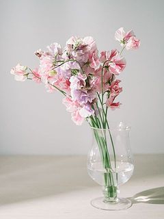 「ドロップベース」もとっても合います🥰