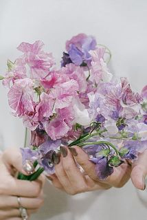 サイズのイメージはこんな感じです。