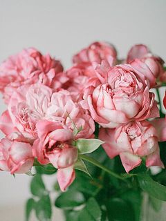 お部屋にパリスの香りがふんわりと漂います☺️