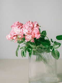 10〜12輪お届けします！※輪数で組み合わせるため、茎の本数は毎回変わります。ご了承ください。