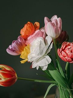 ふんわりと開花してきます