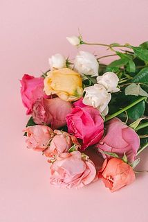 色とりどりの春のバラ達。