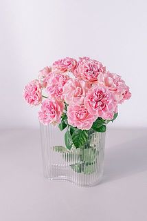 5本お届けします🌹