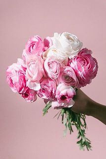 満開のイメージ。