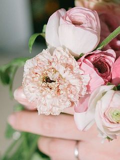 こちらも変わり咲き。なんとも愛らしいのです🥰