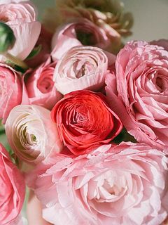 濃淡のバラエティ豊かなピンクのラナンキュラスをたっぷり束ねて。