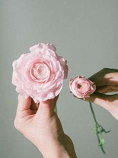 満開になるとこんなに大きく！※写真はお届けとは異なる品種です