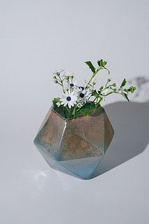 繊細な花「サイネリア」もお似合い。