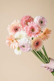 お届けイメージ