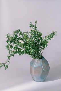 コデマリとの相性も抜群！