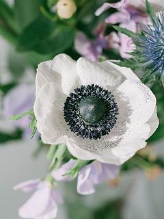 ネイビーアイが美しい✨