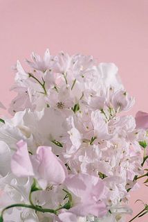 とけてしまいそうな色合い🥰