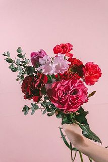 お届けイメージ